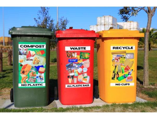 Compostable bin